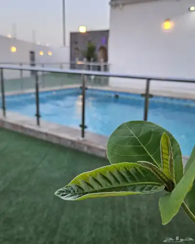 استراحه 0