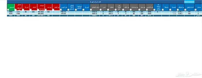 كشف رواتب موظفين Excel 0