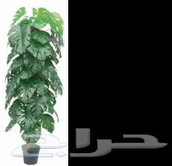 أشجار صناعية بأشكال ومقاسات متعددة   جودة عالية وسعر جملة 56