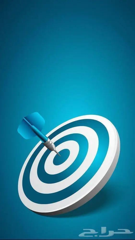 دراسة مشاريع حكومية تسويق واستشارات 19