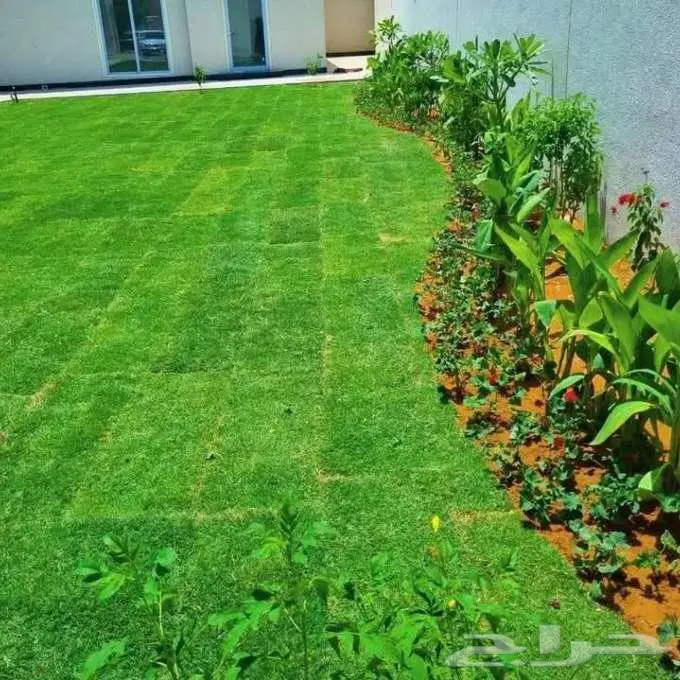 زراعه وتنسيق الحدايق 6