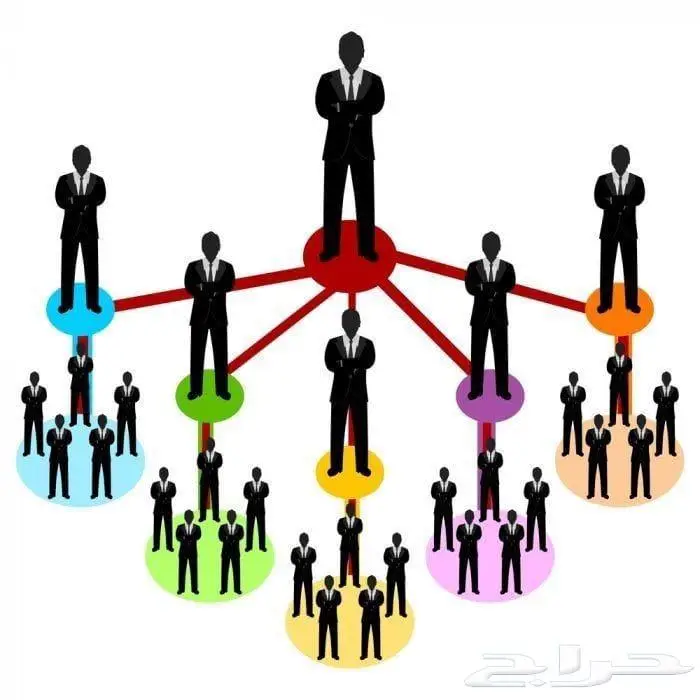 دراسة مشاريع حكومية تسويق واستشارات 15