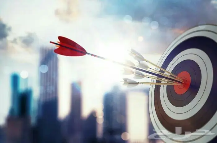 دراسة مشاريع حكومية تسويق واستشارات 8