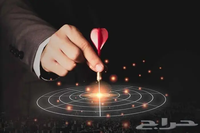 دراسة مشاريع حكومية تسويق واستشارات 13