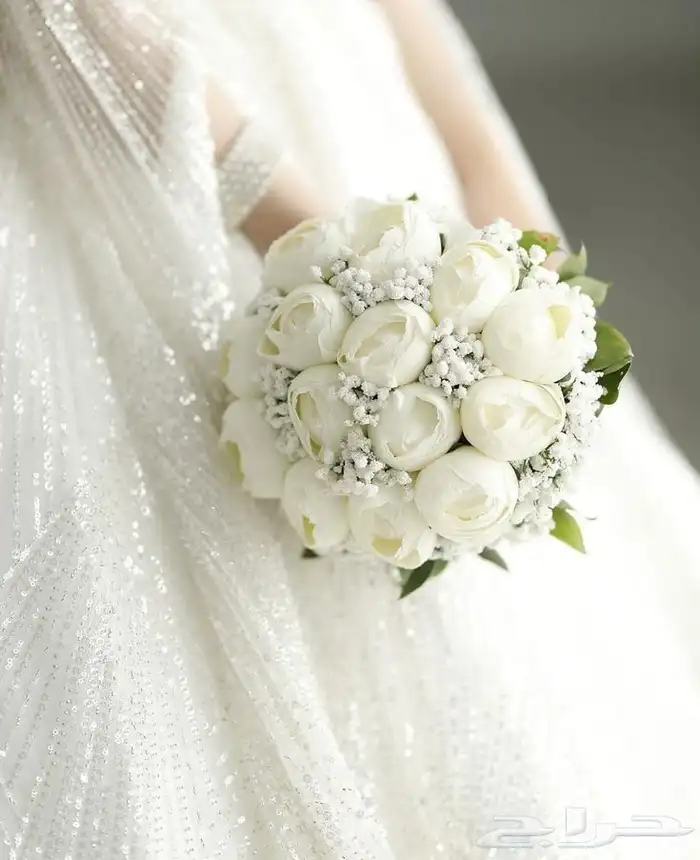 مصورة اعراس وافراح 2
