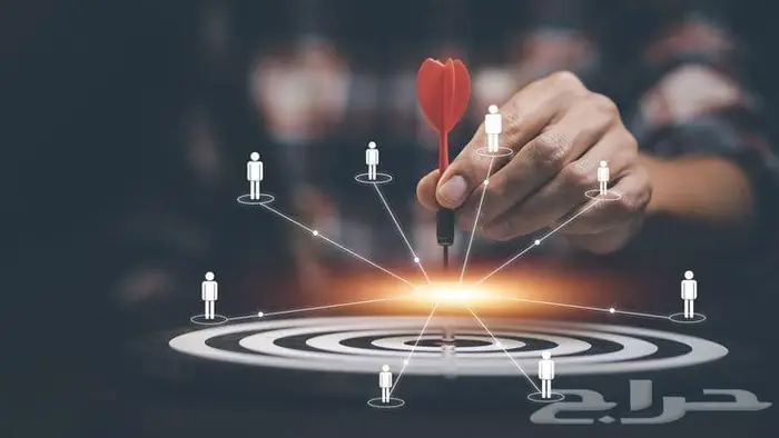 دراسة مشاريع حكومية تسويق واستشارات 10