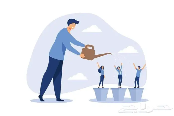 دراسة مشاريع حكومية تسويق واستشارات 16