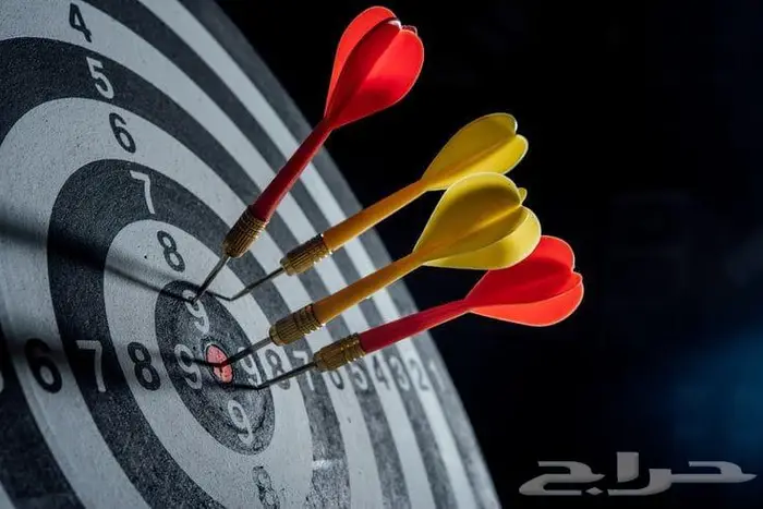 دراسة مشاريع حكومية تسويق واستشارات 9