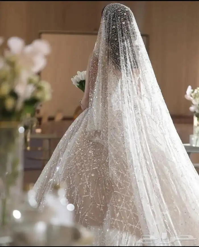 مصورة اعراس وافراح 4