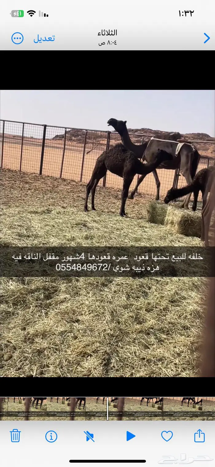 وادي الدواسر 0