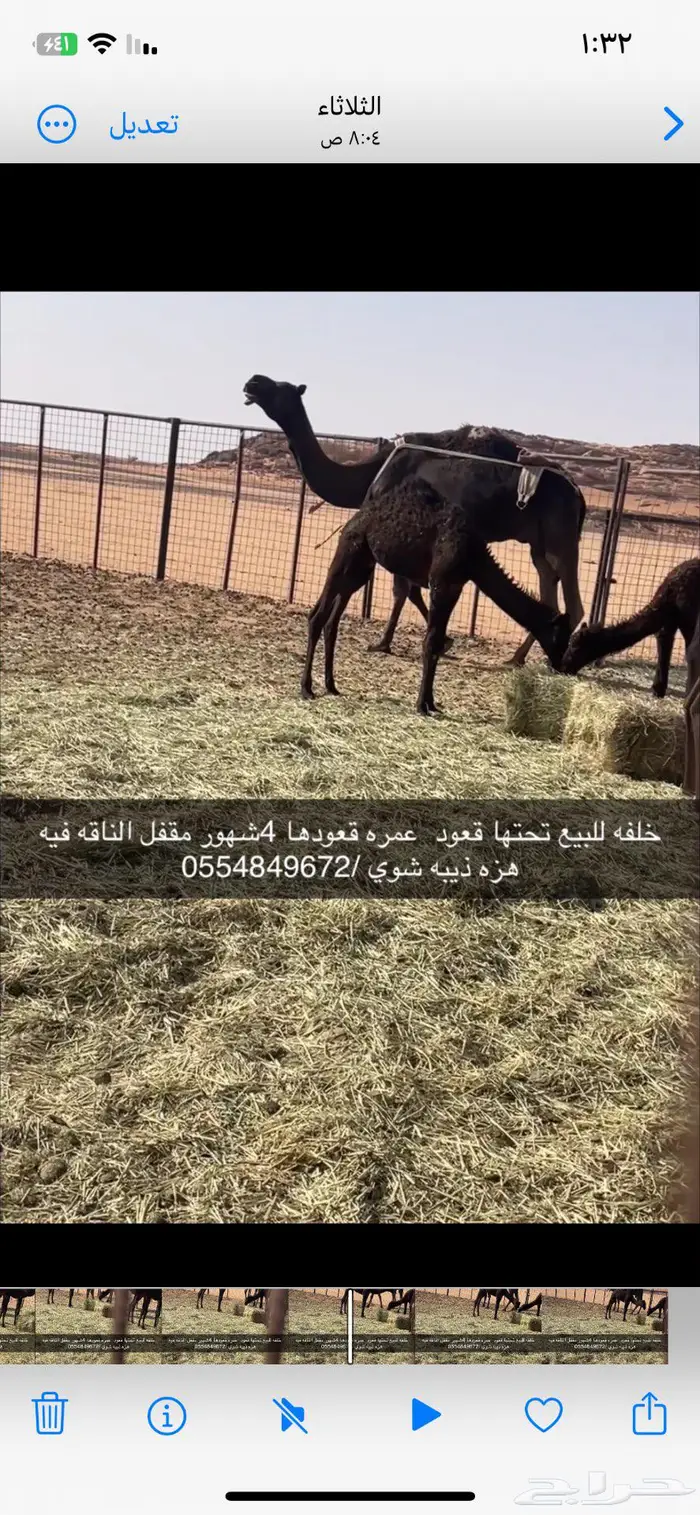 وادي الدواسر 1