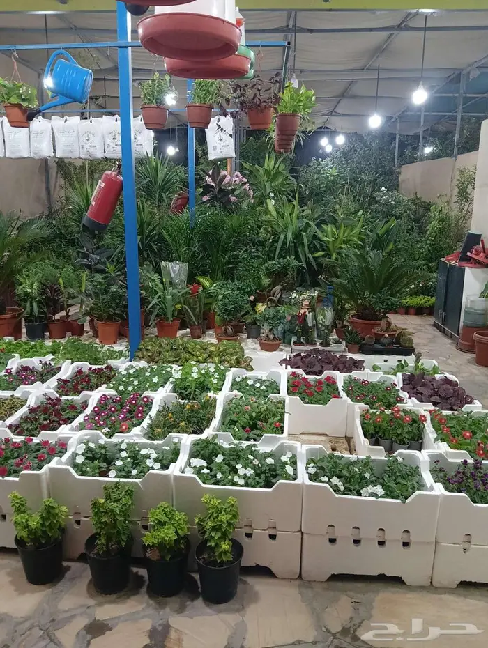 زراعه وتنسيق الحدايق 4