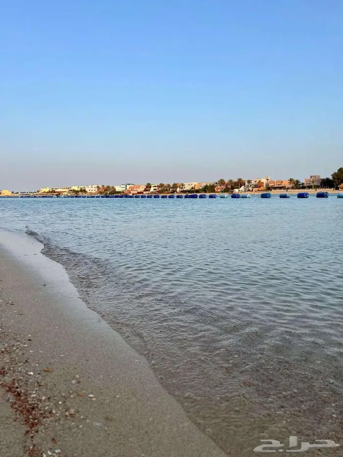 درة العروس شالية البردايس 3