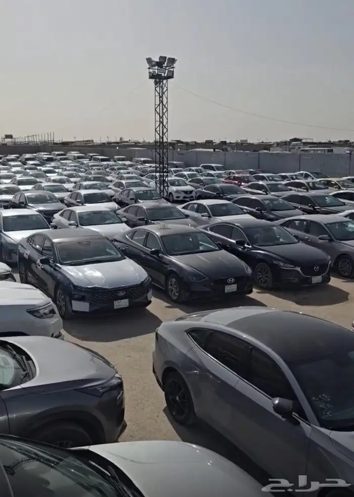 سيارات للبيع جمله وتفريد 3