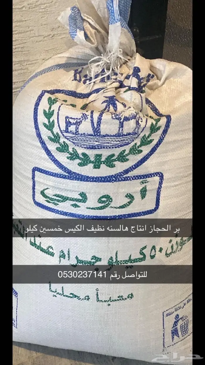 شعير الحجاز من مزرعتنا الخاصه نظيف وجديد وانتاج هالسنه 0