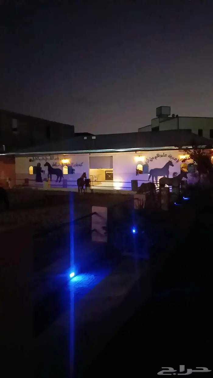 مربط سمو الاصايل 0