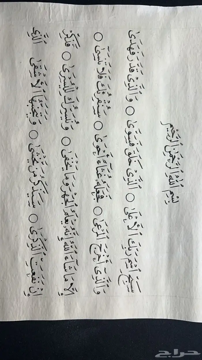 خطاط ورسام متمكن 4