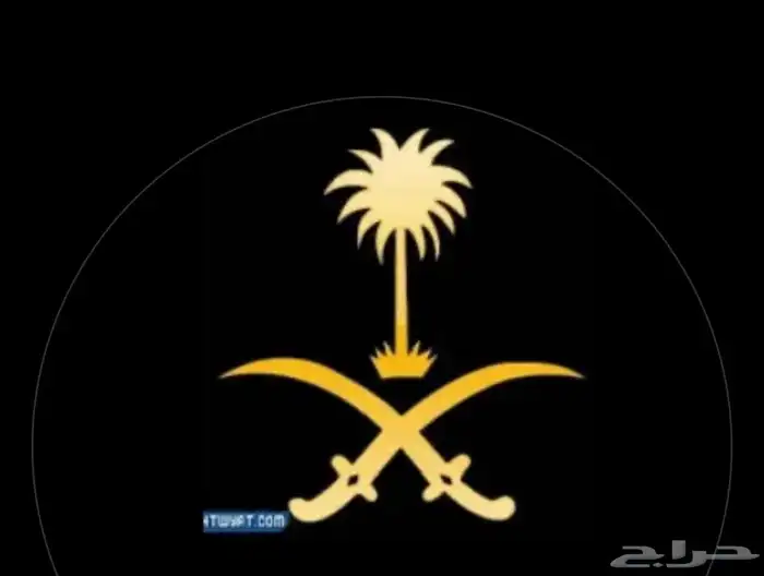فرقة فنون شعبية 0