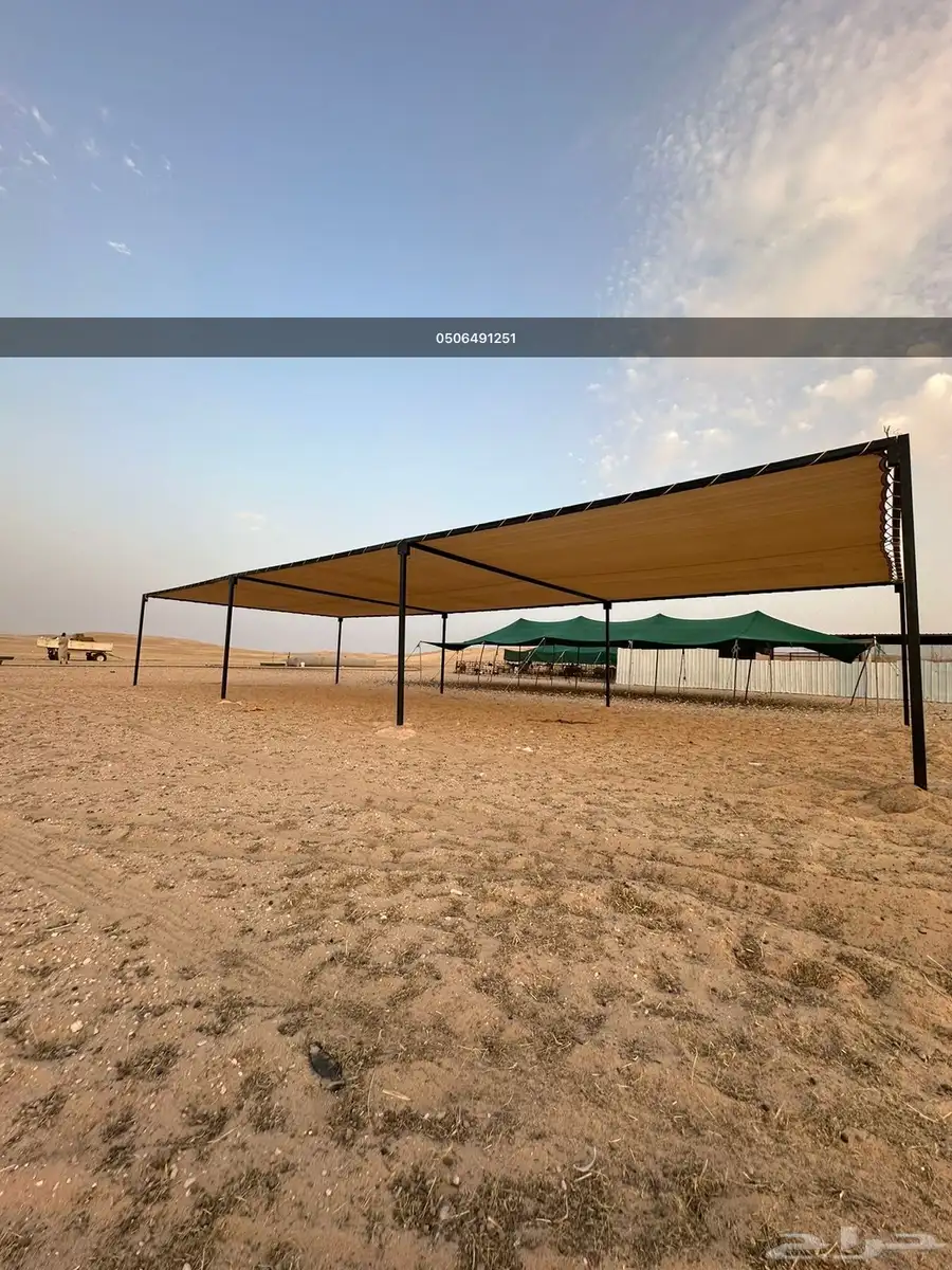 مضلات_بقر مضلات_ابقار 0