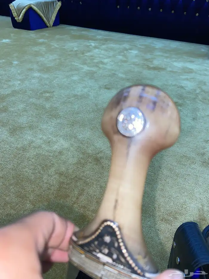 جنبيه زراف مشروطه 1
