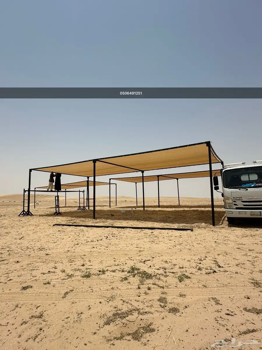 مضلات_بقر مضلات_ابقار 4