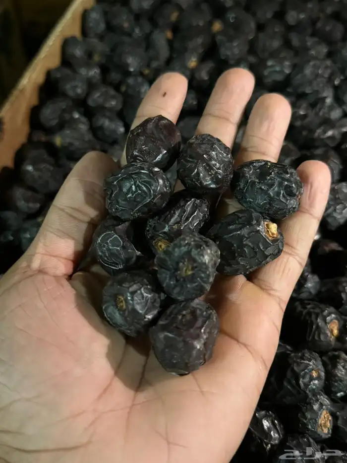 تمر عجو عجوة مزرعة الجديدة 0