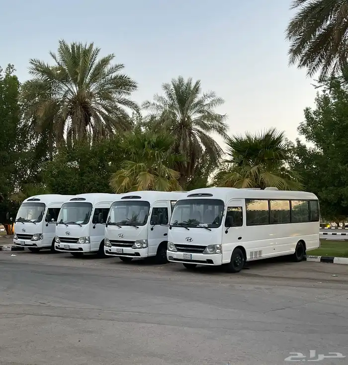للإيجار باصات ( حافلات ) 30 مقعد مع السائقين 0