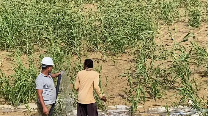غطاسات على الطاقة الشمسية ضمان وجودة 8