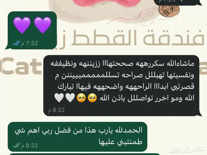 فندقة قطط مكة 3
