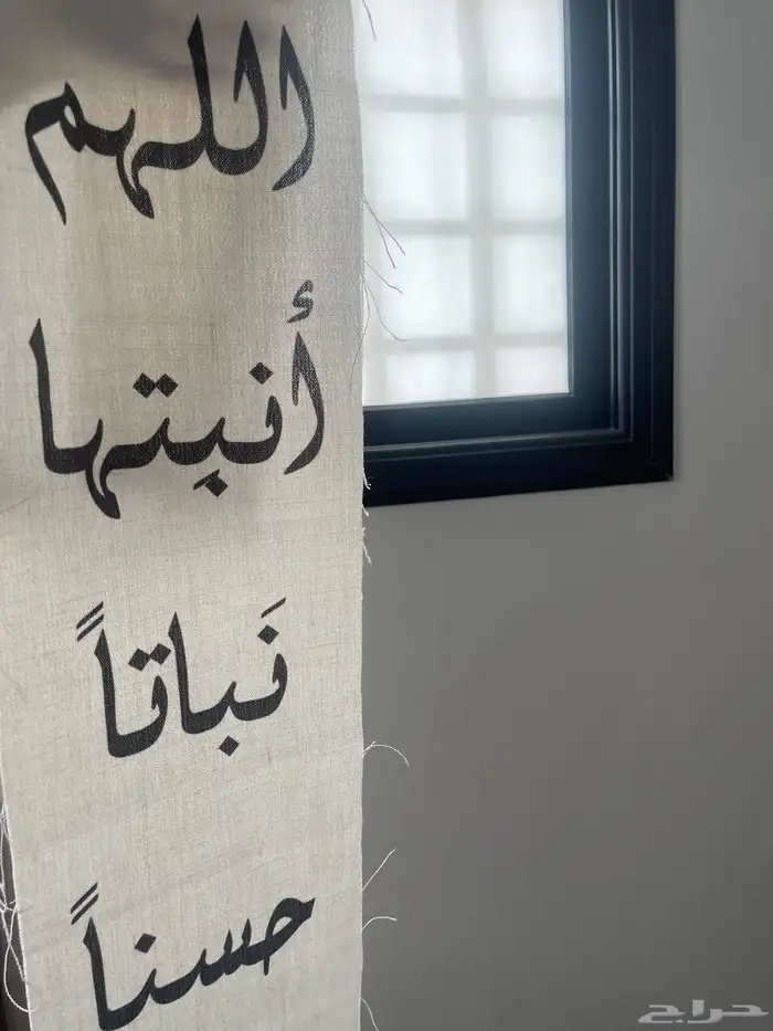 استقبال مولودة 1