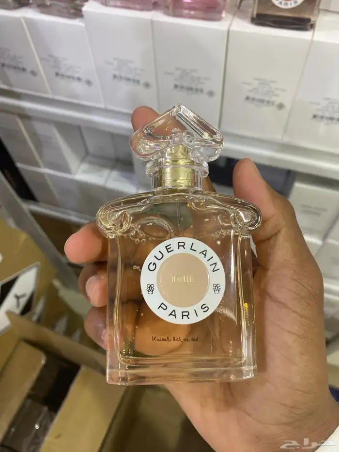جميع العطور متوفرة 61