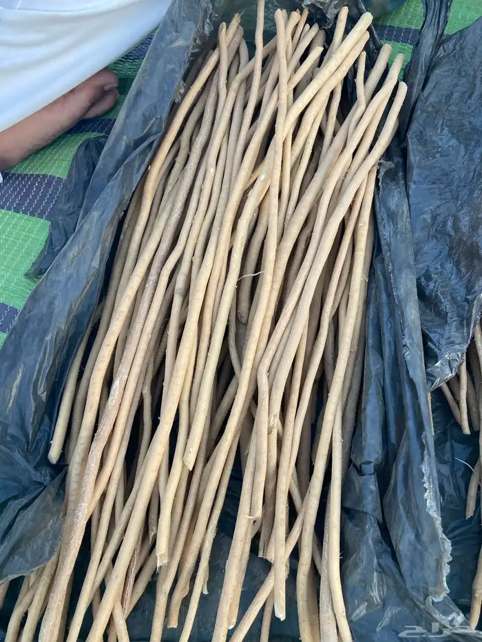 مورد مساويك جمله وقطاعي اوفر لكم الكميه اللي تبون وافضل سعر 10