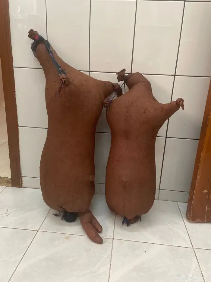 سعن 3
