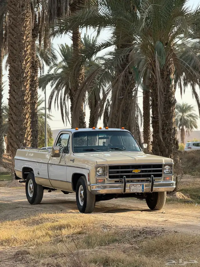 للبيع يأهل الصنف شفر بيج 78 بلد 10
