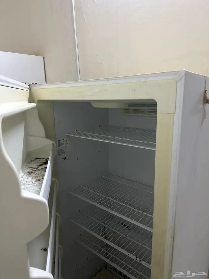 فريزرين كبيره وثلاجه 1