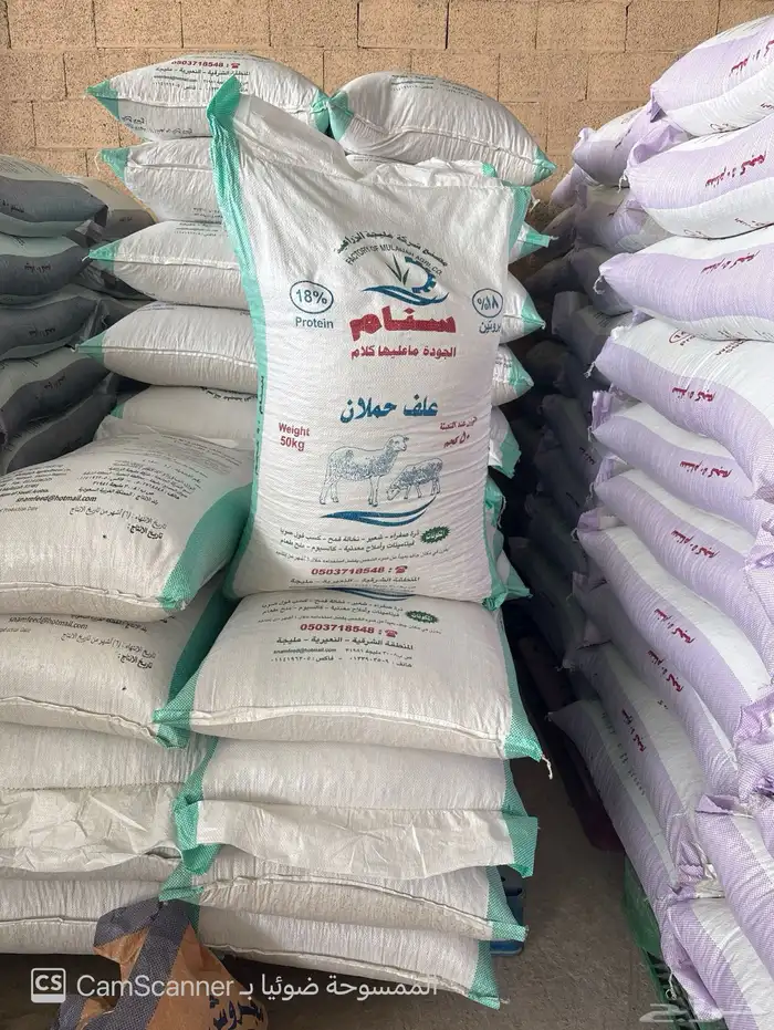 بروتين 14  بشكل جديد 4