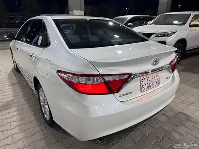 تم البيع الله يبارك للمشتري 19