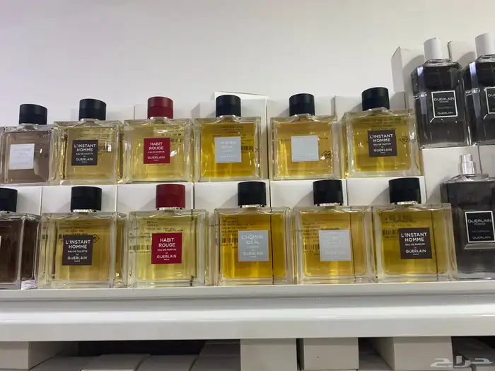 جميع العطور متوفرة 64