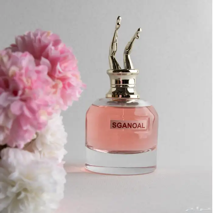 ادارة وتطوير حسابات التواصل 3