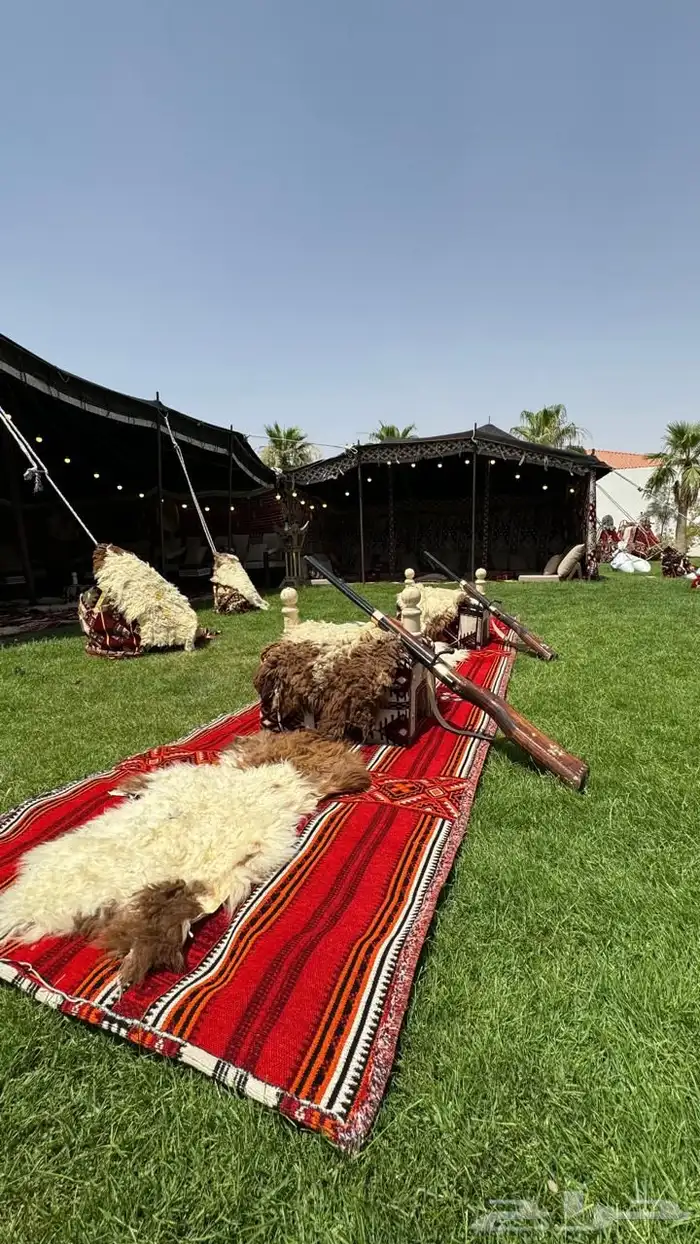 تنظيم المعارض والمؤتمرات   وحفلات الزفاف والتخرج وغيرها 19
