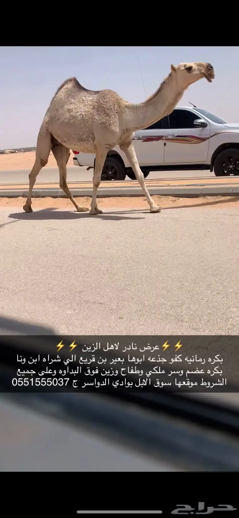 بكره كفو رمانيه 0