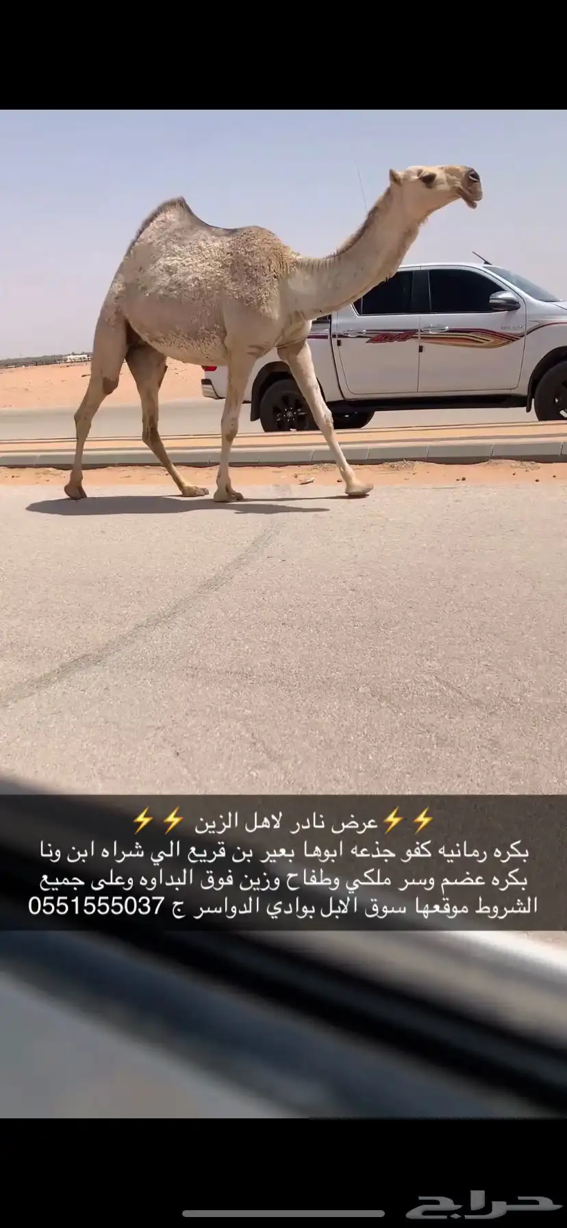 بكره كفو رمانيه 1