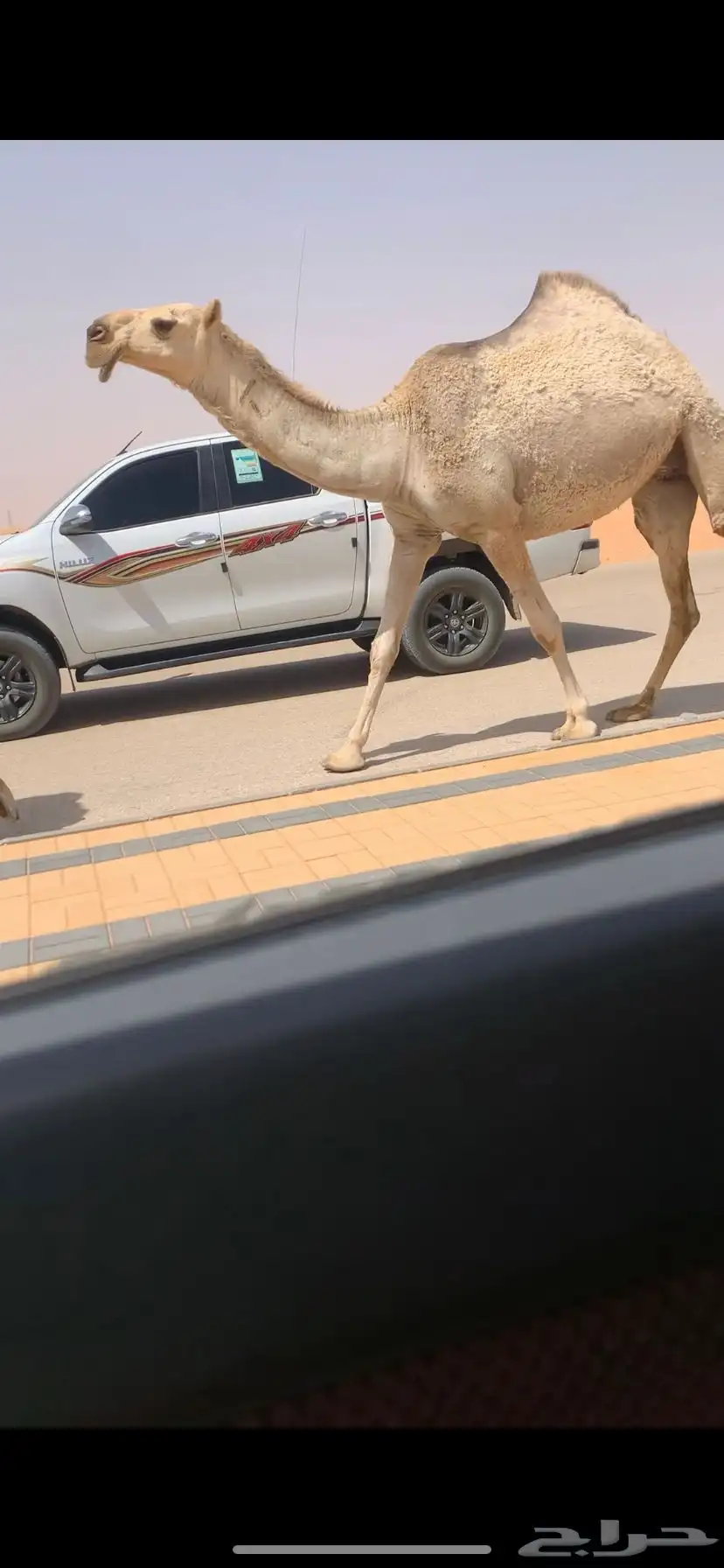 بكره كفو رمانيه 2