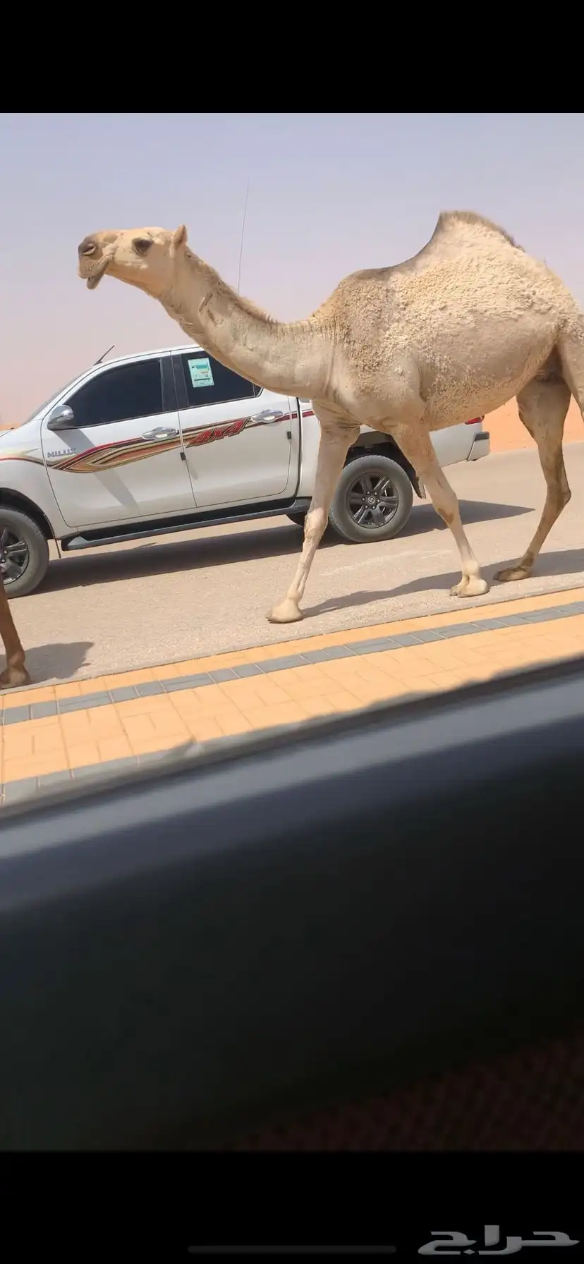 بكره كفو رمانيه 3