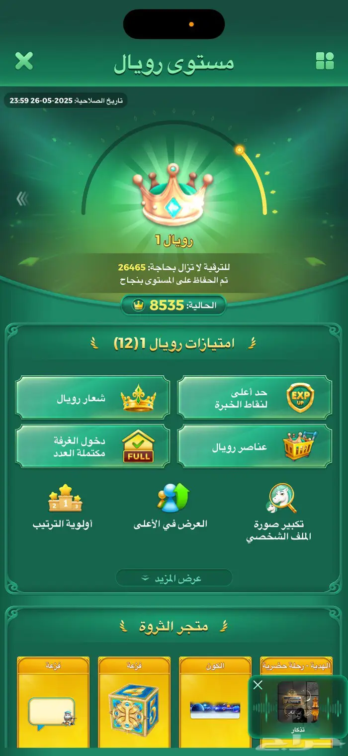 حساب يلا لودو 13