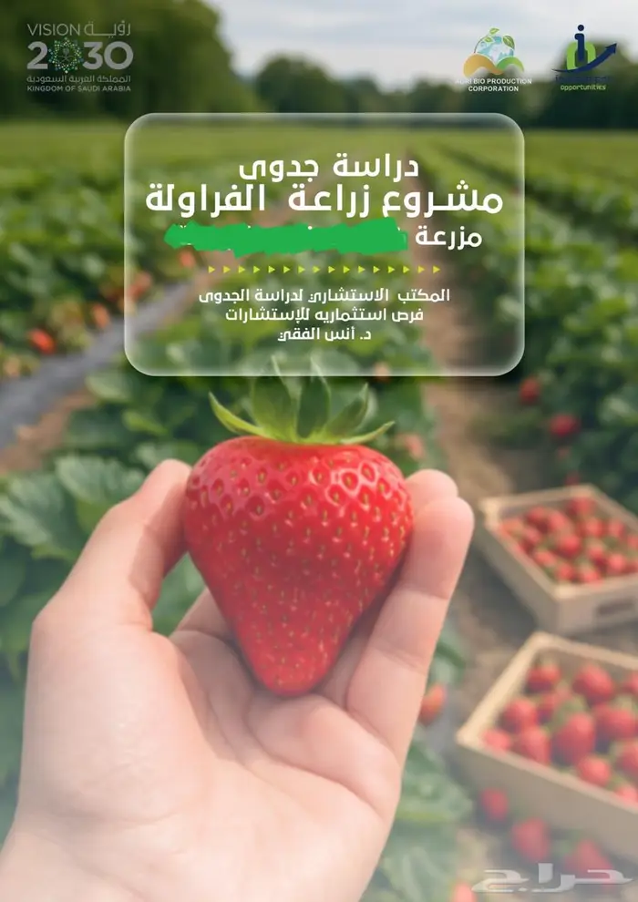 اعداد دراسات الجدوى و تطوير المشروعات الحالية 6