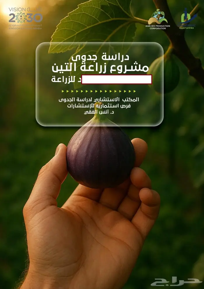 اعداد دراسات الجدوى و تطوير المشروعات الحالية 4