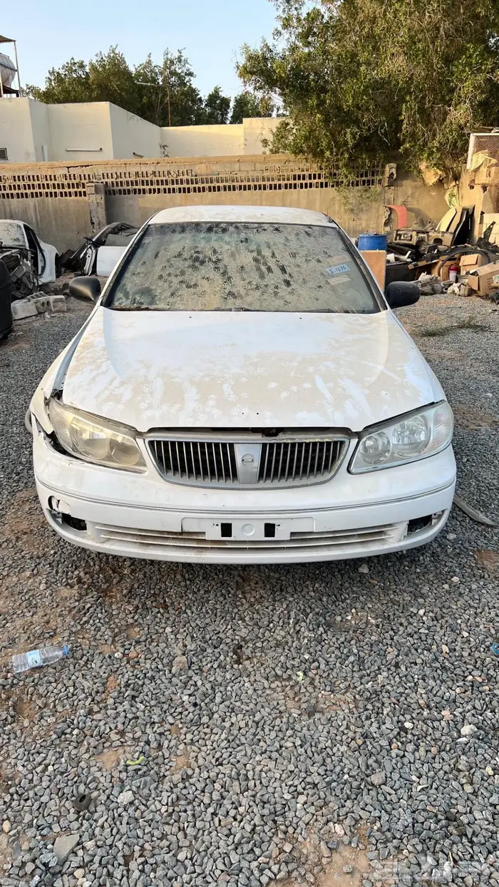 صني 2005 4