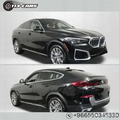 2023 BMW X6 index