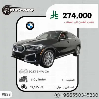 2023 BMW X6 index